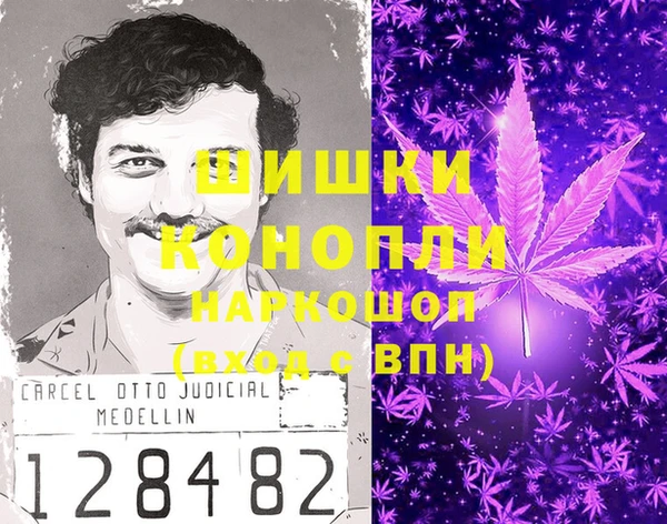 крисы Абаза
