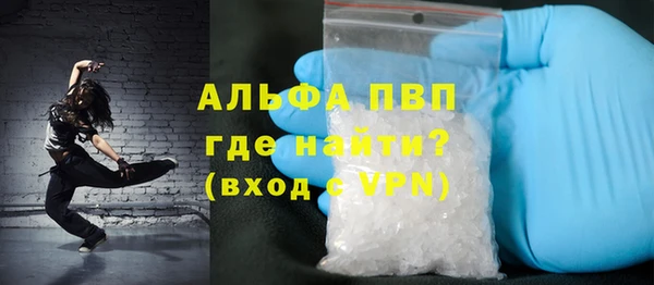 крисы Абаза