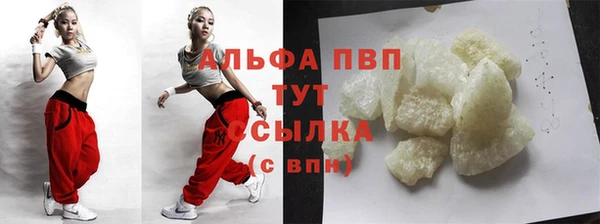 крисы Абаза