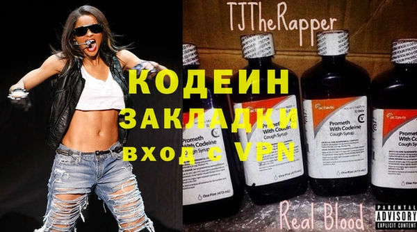 крисы Абаза