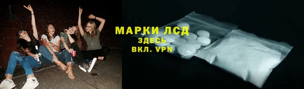 крисы Абаза