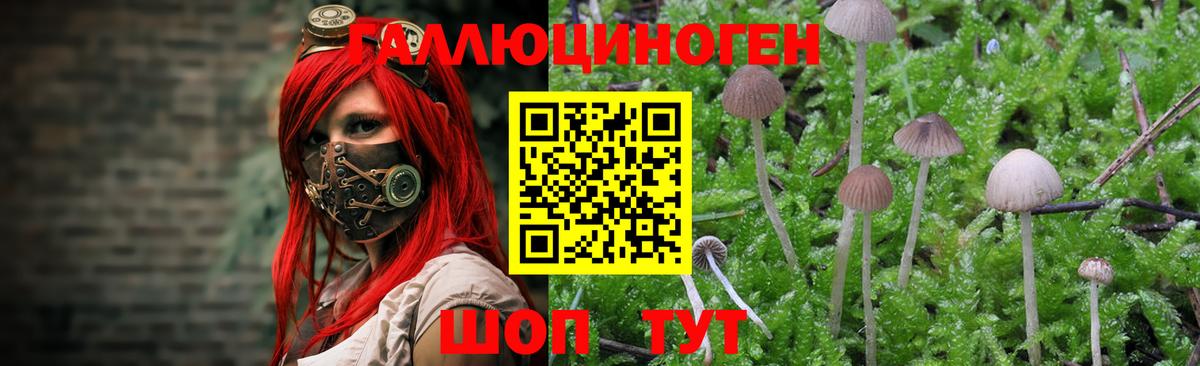 наркотики  Псилоцибиновые грибы мухоморы  Вход с VPN  Рославль 
