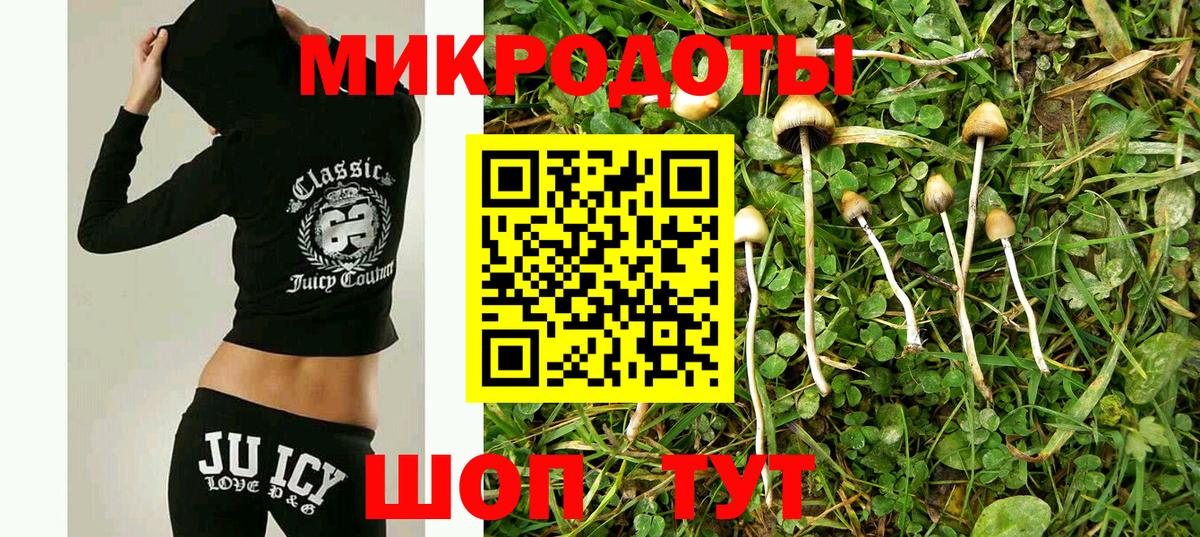 Галлюциногенные грибы ЛСД Рославль