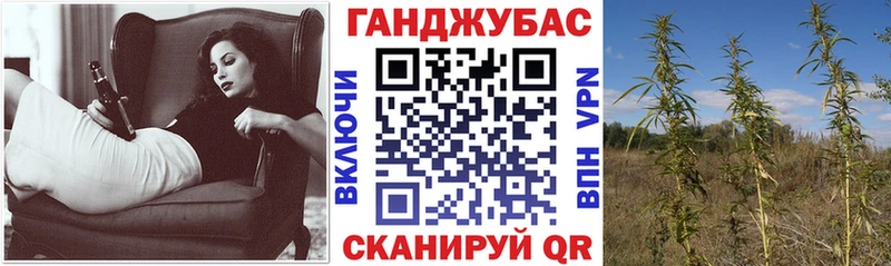 Бошки Шишки план Рославль